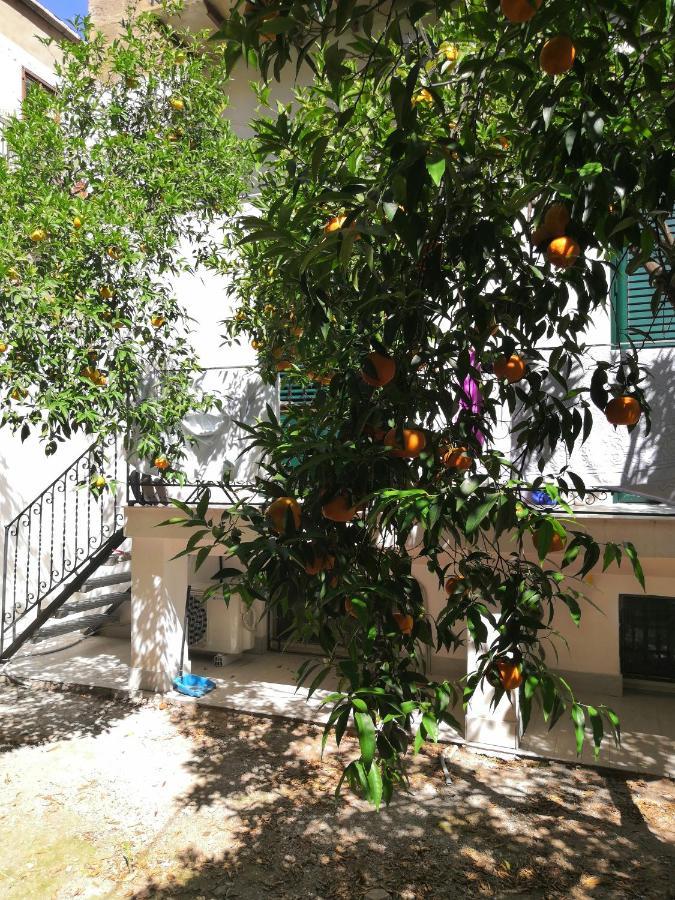 Garden House: Apartments And Rooms For Holidays Palermo Ngoại thất bức ảnh